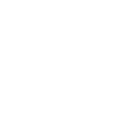 Genuine Parts Badge