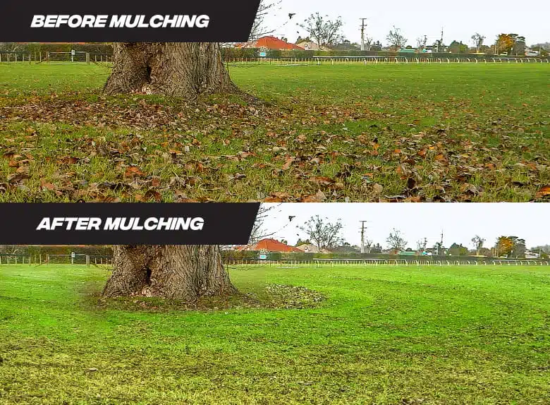 Mulch-Kit Before After Mob