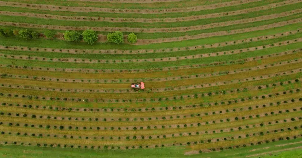 Trimax FlailDek FX at Piney Run Nursery & Farms